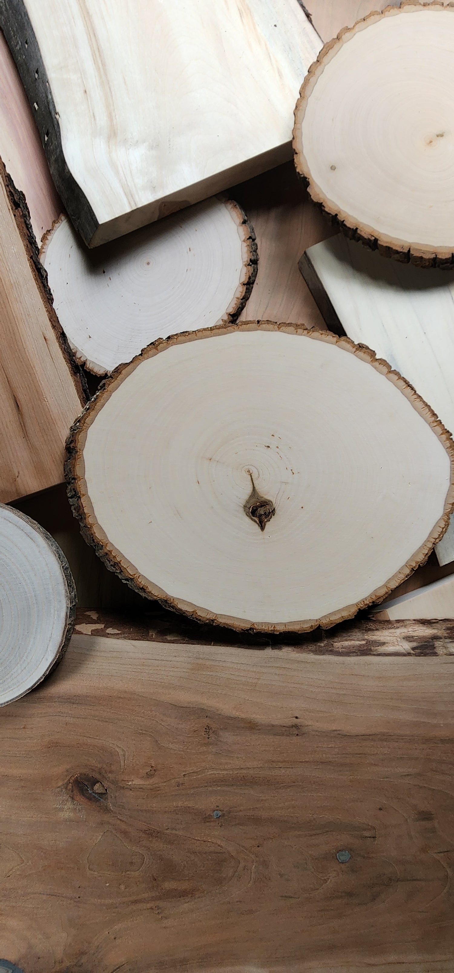 unfinished rounds of wood ready to be etched with pyrographic art