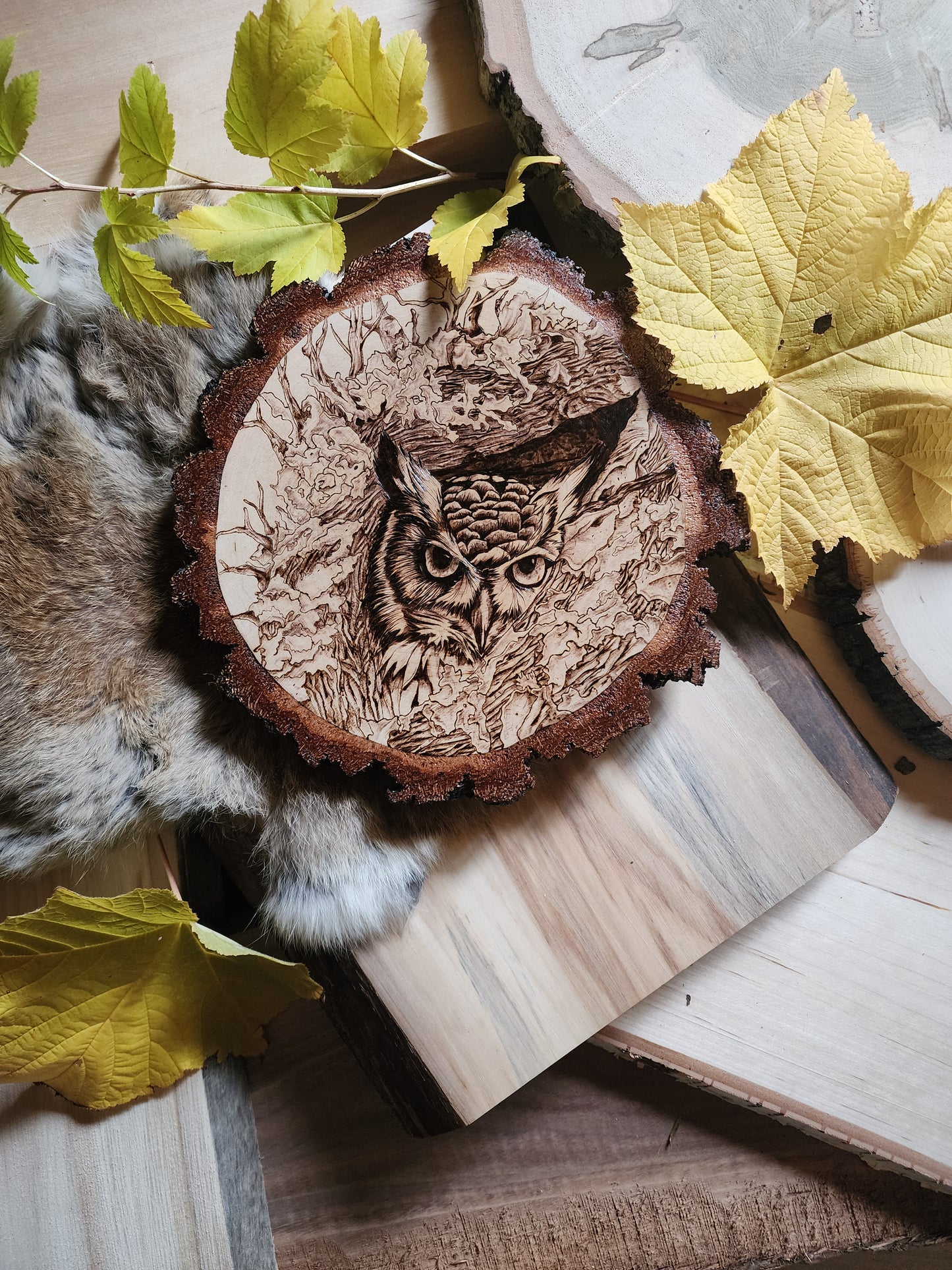 Wisdom in Silence