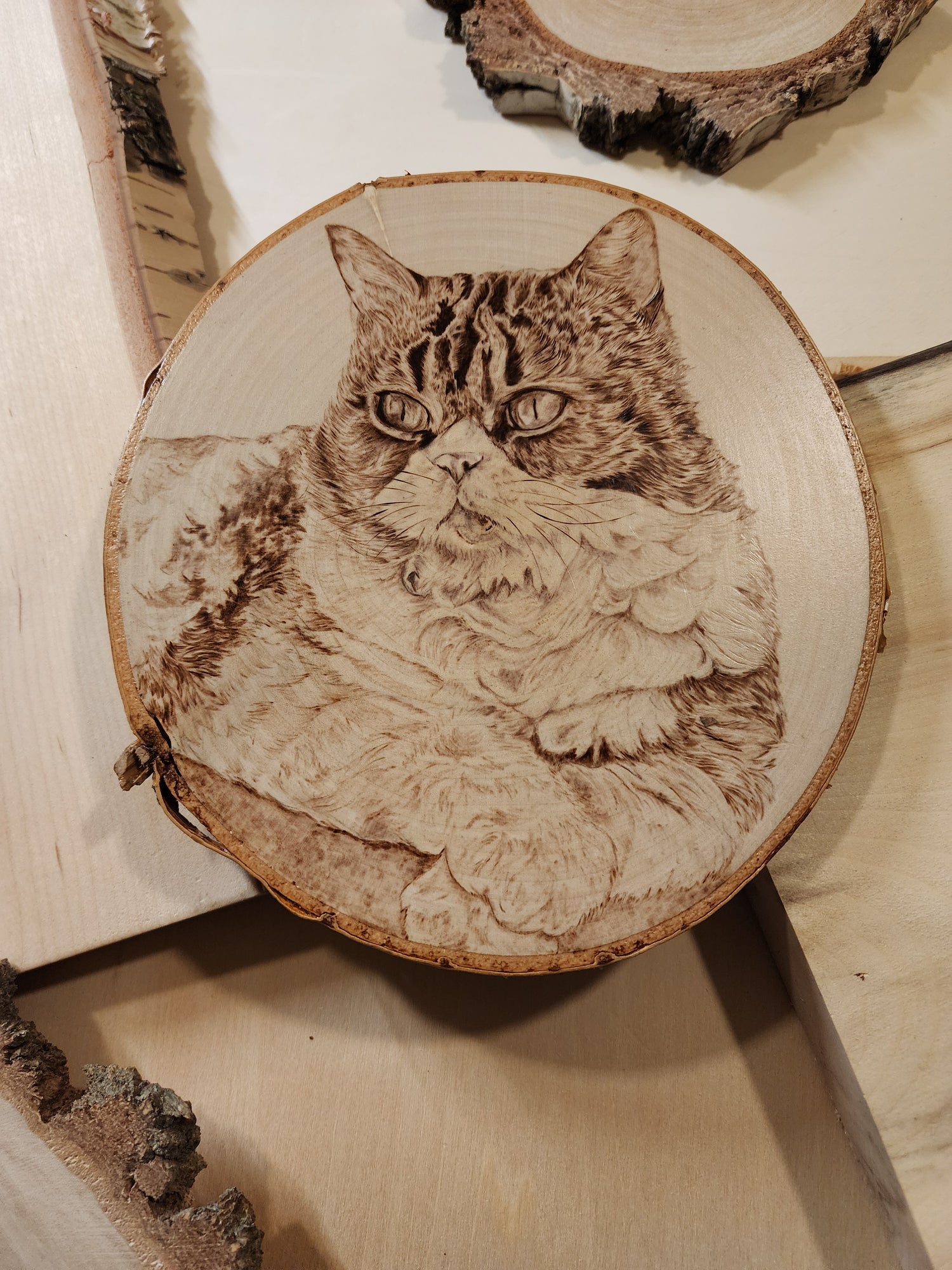 Custom cat portrait